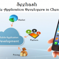 Seehash Software Application Developers