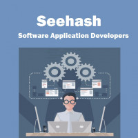 Seehash Software Application Developers