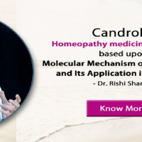Dr. Rishi's Homoeopathy Cancer Research Foundation