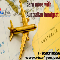Visa4you Immigration Consultants for Australia in Pune