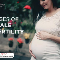 Aveya IVF and Fertility center in Delhi,Noida,siliguri-India