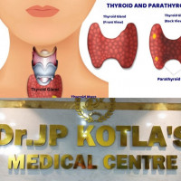 Best Thyroid Center in Hyderabad – Thyroid Center in Himayat Nagar