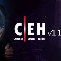 WebAsha Ethical Hacking CEH CHFI ECSA Cyber Security Training Institute & Certification Exam center