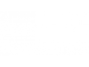 Tester Academy